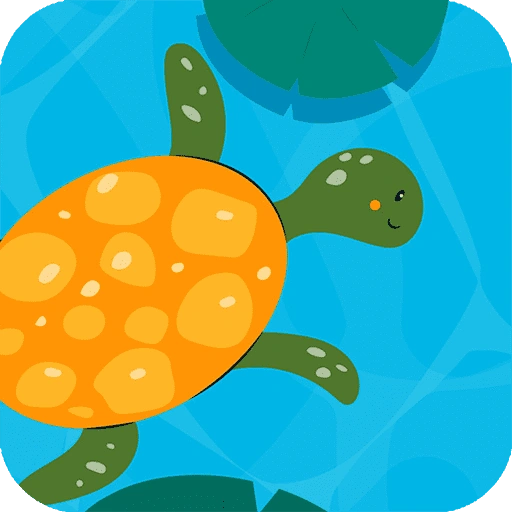 Turtle Math
